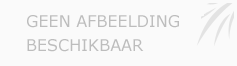 Afbeelding › Voegwerken Geelen Eddy